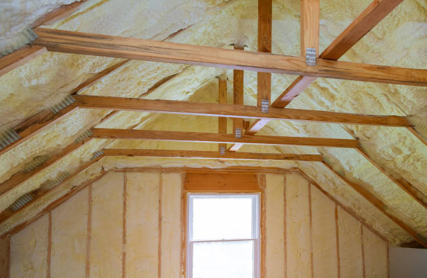 Insulation Inspection Services in Sacred Heart University, CT